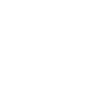 Logo_Silvercoast_BRANCO